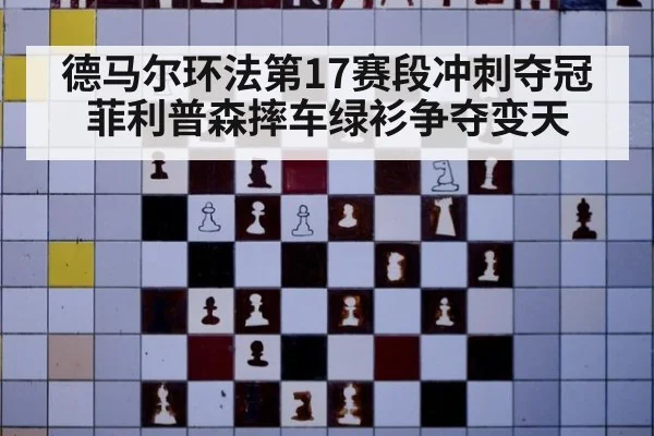 德马尔环法第17赛段冲刺夺冠 菲利普森摔车绿衫争夺变天