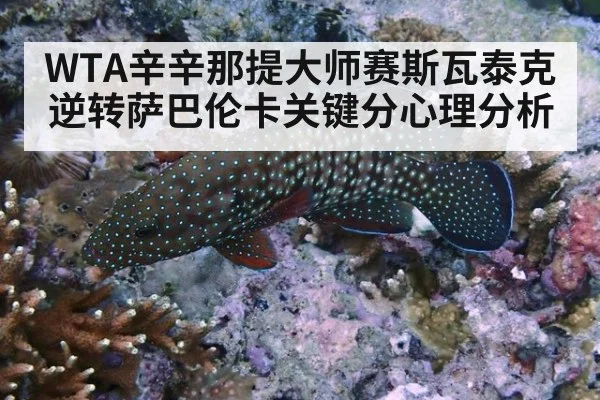 WTA辛辛那提大师赛斯瓦泰克逆转萨巴伦卡关键分心理分析